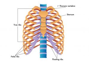 compensation for broken rib injuries